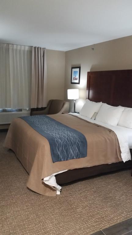 Comfort Inn Jamaica Downtown New York Kamer foto