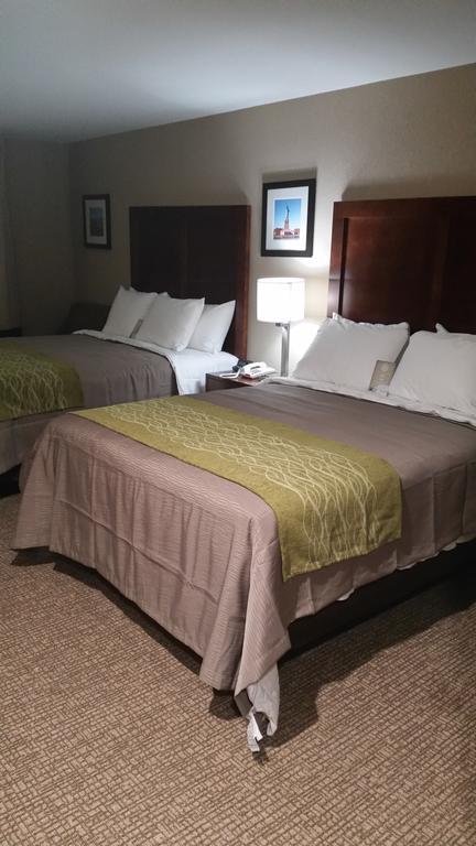 Comfort Inn Jamaica Downtown New York Kamer foto